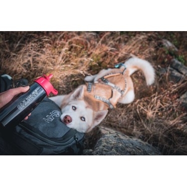 Бутилка Husky Springler 750 зелен HUSKY - изглед 5
