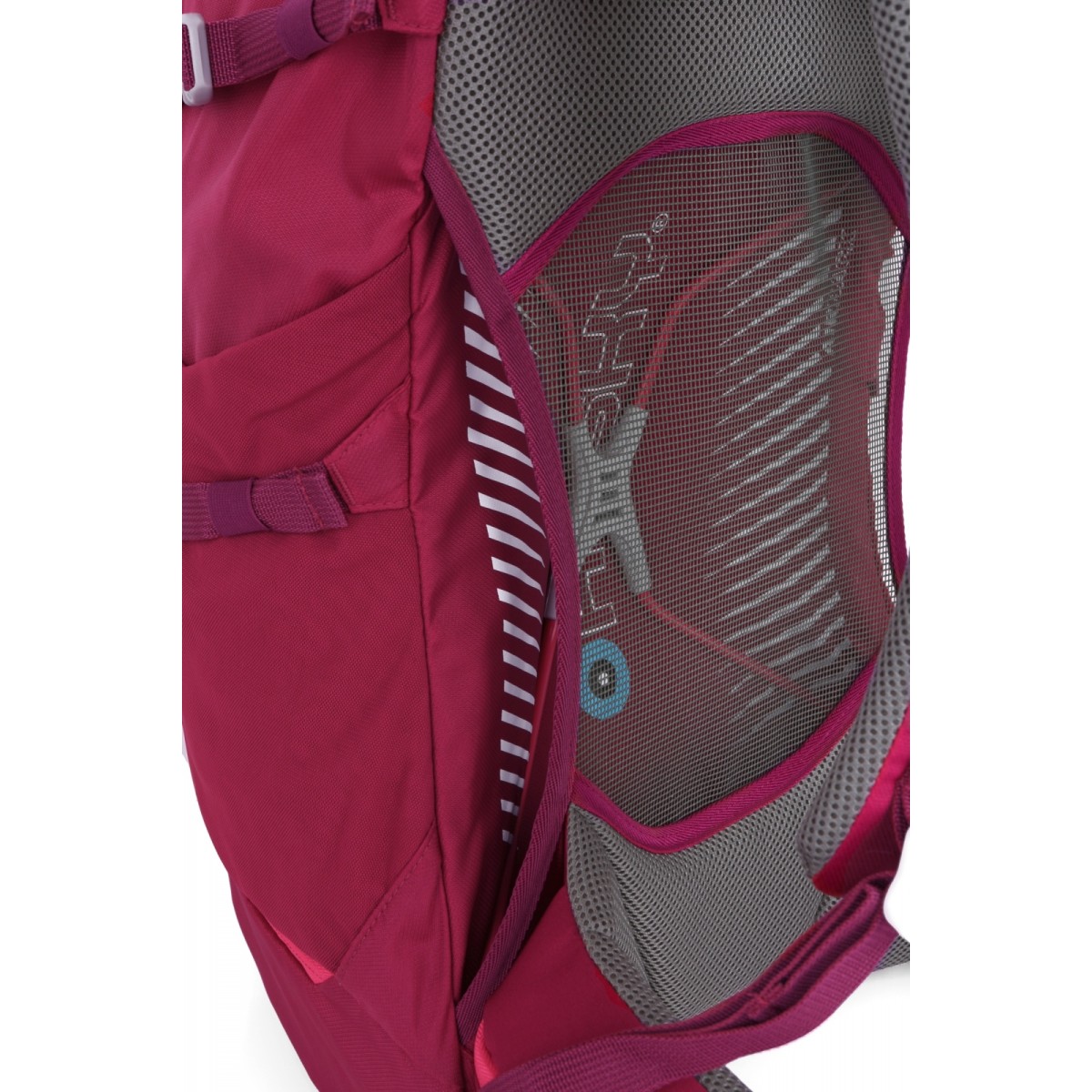 Hiking backpack Cingy 30 l magenta HUSKY - view 6