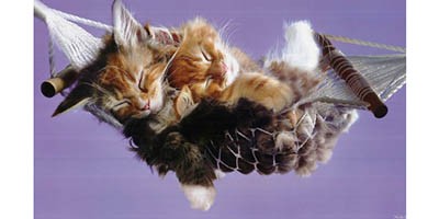 Защо да изберем хамаците La siesta