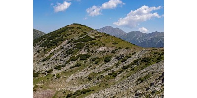 5 лесни планински прехода, подходящи за деца