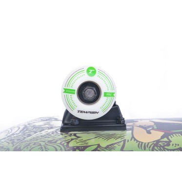PRO skateboard TEMPISH - view 11