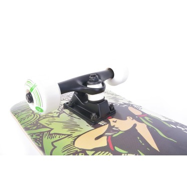 PRO skateboard TEMPISH - view 13