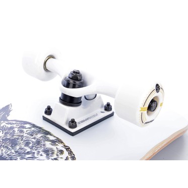 GOLDEN OWL skateboard TEMPISH - view 5