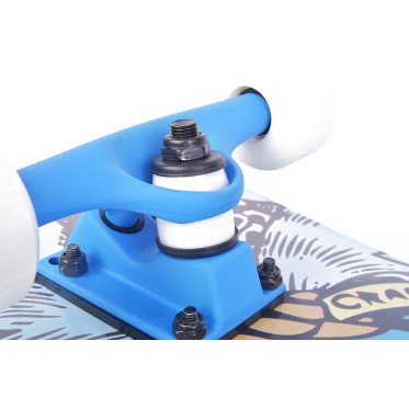 PRO skateboard TEMPISH - view 6