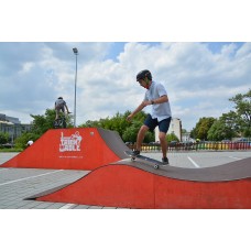 PRO skateboard TEMPISH - view 21
