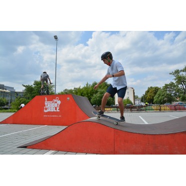 PRO skateboard TEMPISH - view 21