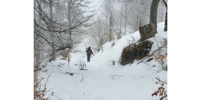 From  Osenovlag to Chukava  in Western Stara Planina