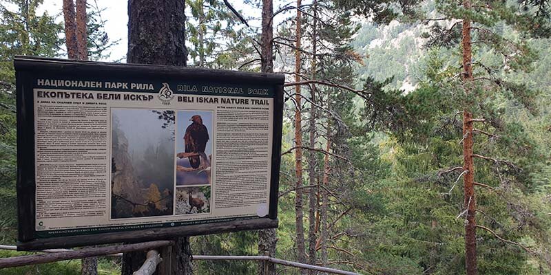 Beli Iskar Eco-trail